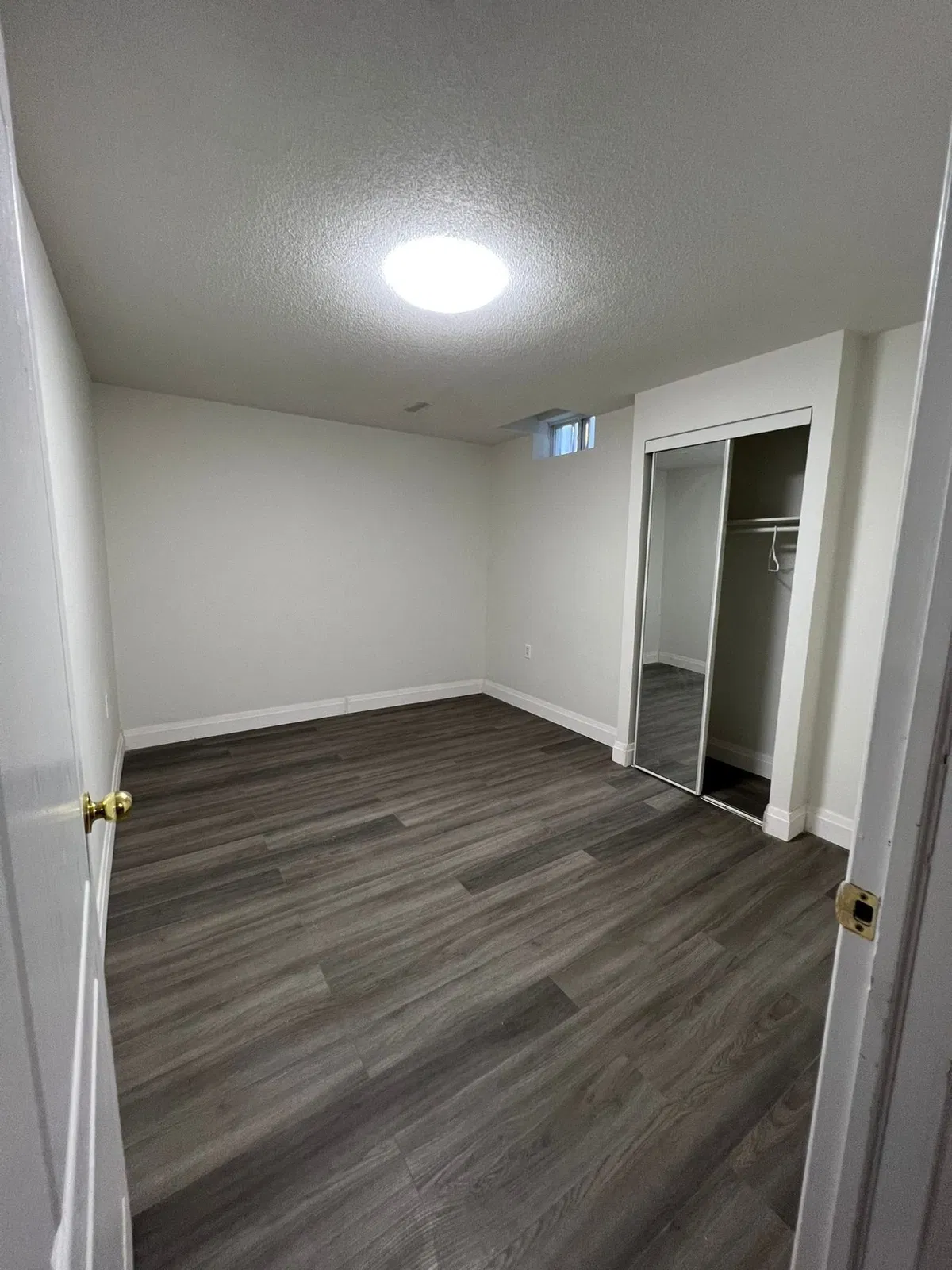 Basement Renovation Project